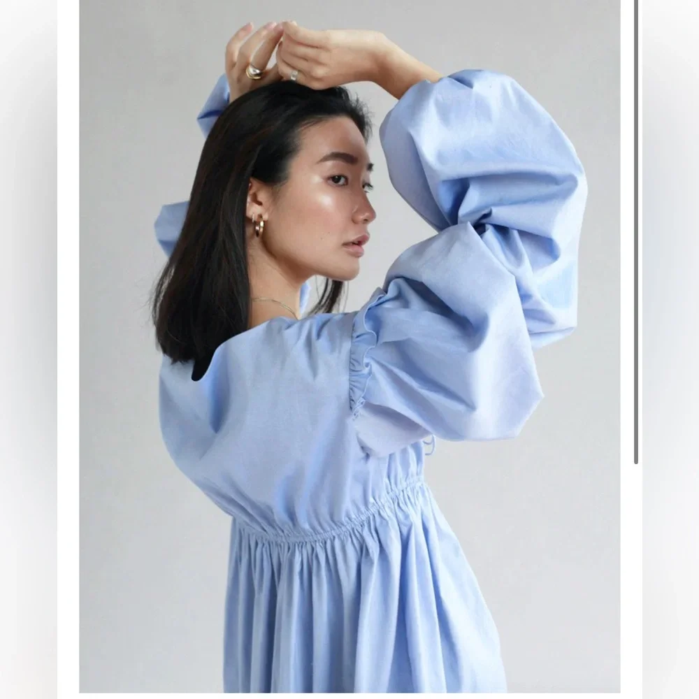 Allina Liu dress - Picture 5 of 15